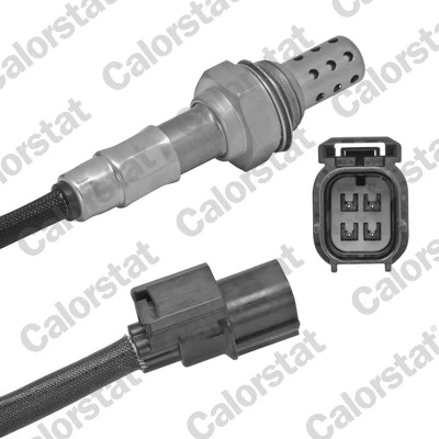 Oxygen Sensor